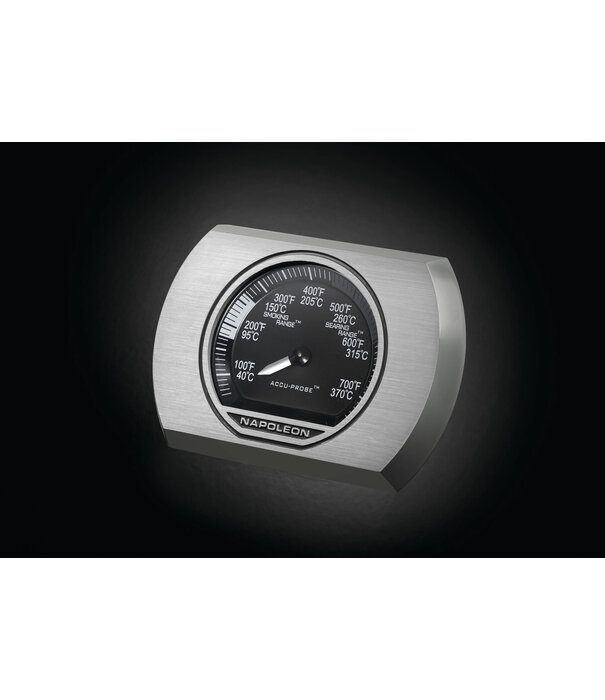 Napoleon ACTIE: Napoleon - Rogue SE 525, met gietijzeren roosters, zwart