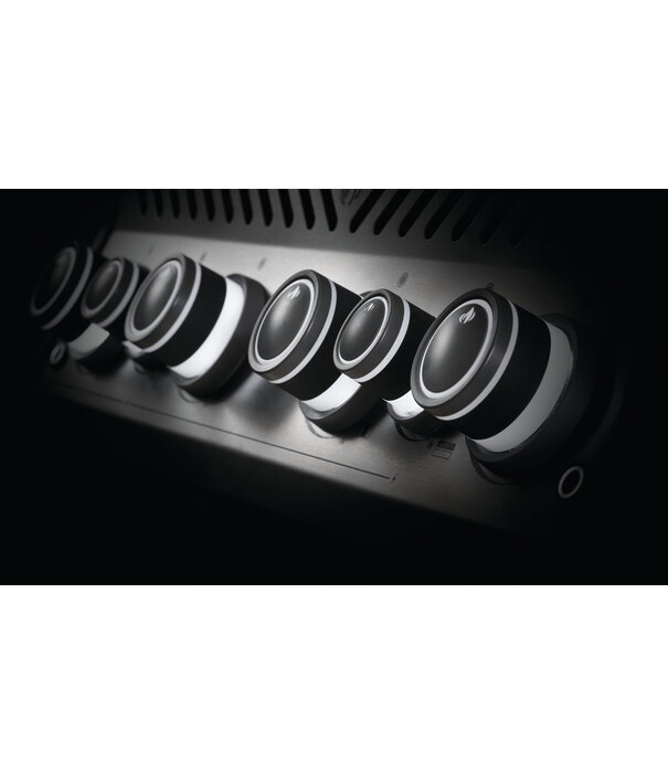 Napoleon ACTIE: Napoleon - Rogue SE 525, met gietijzeren roosters, zwart