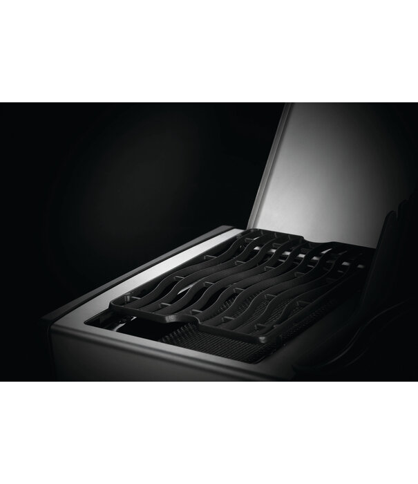 Napoleon ACTIE: Napoleon - Rogue SE 525, met gietijzeren roosters, zwart