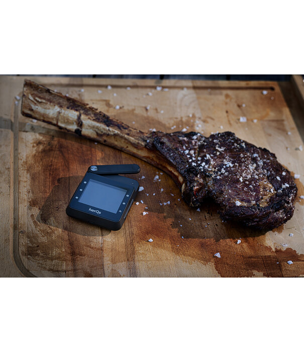 HerQs ACTIE: HerQs - Professional