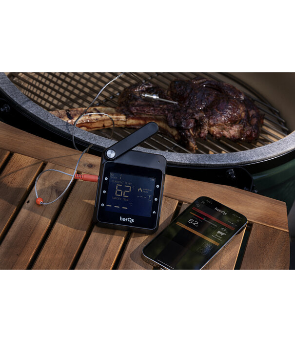 HerQs ACTIE: HerQs - Professional