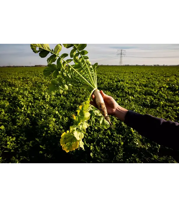 Tomasu Tomasu - Sweet Soy Sauce (200ml - Soja Saus)