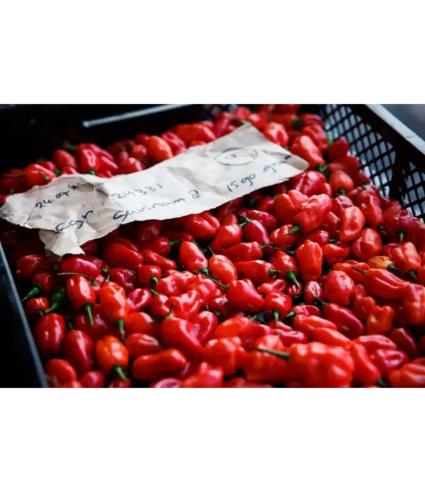 Tomasu Tomasu - Sweet Spicy Soy Sauce (200ml - Soja Saus)