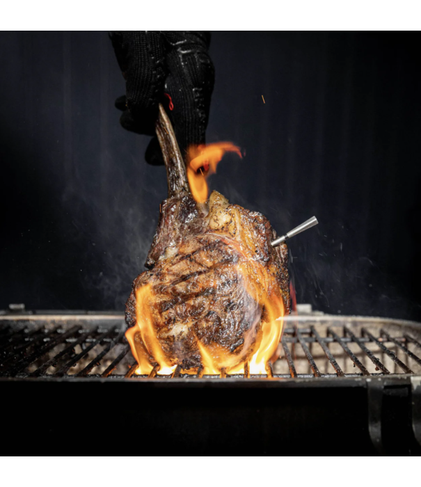 Meater Meater - Meater 2 Plus (Meater Pro)