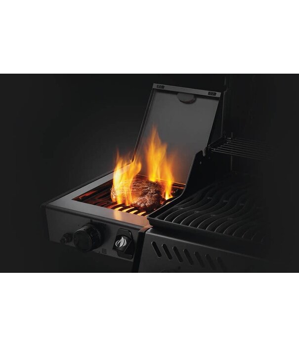 Napoleon ACTIE: Napoleon - Freestyle 425, 4 hoofdbranders, met SIZZLE ZONE zijbr. en deur, graphite