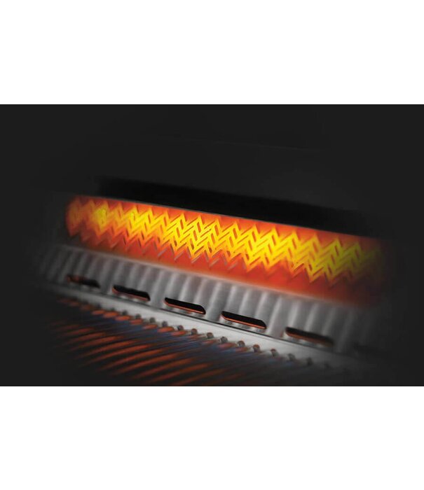 Napoleon Napoleon - 700-Series 44", RVS, inbouw, incl. draaispit