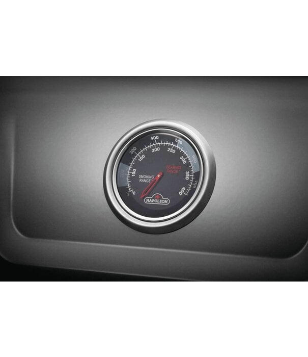 Napoleon Napoleon - Freestyle 365, 3 hoofdbranders, met SIZZLE ZONE zijbr. en deur, graphite