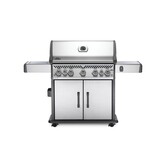 Napoleon - Rogue SE 625, met RVS roosters, RVS