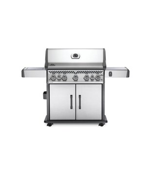 Napoleon - Rogue SE 625, met RVS roosters, RVS