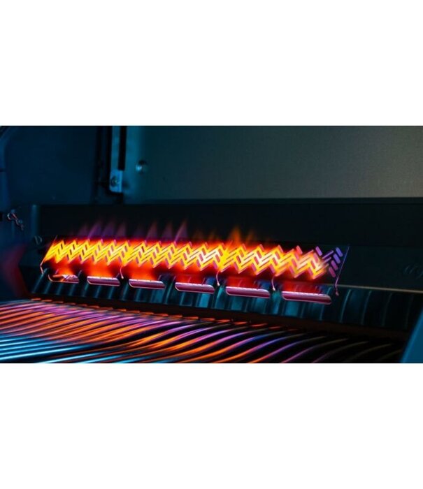 Napoleon Napoleon - Rogue SE 625, met RVS roosters, RVS