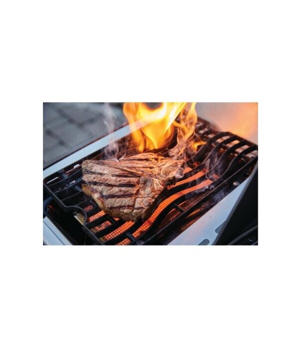 Napoleon Napoleon - Rogue SE 625, met RVS roosters, RVS