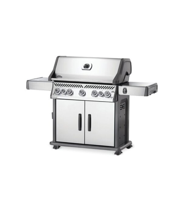 Napoleon Napoleon - Rogue SE 625, met RVS roosters, RVS