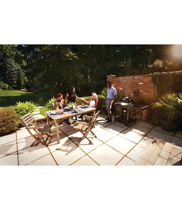 Napoleon Napoleon - PRO22 mobiele houtskoolbarbecue Ø57 cm, zwart