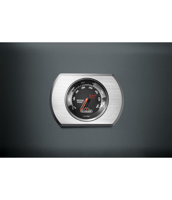 Napoleon ACTIE: Napoleon - Rogue Pro 425 (Charcoal Grey) Limited Edition - Actie 2025!