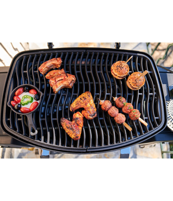 Napoleon Napoleon - TRAVELQ™ PRO285X, met inklapbare wagen, elektrisch