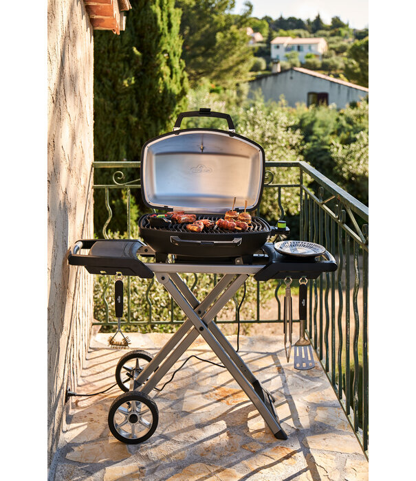 Napoleon Napoleon - TRAVELQ™ PRO285X, met inklapbare wagen, elektrisch