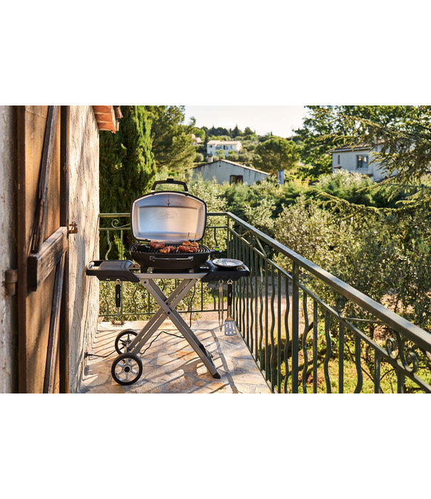 Napoleon Napoleon - TRAVELQ™ PRO285X, met inklapbare wagen, elektrisch