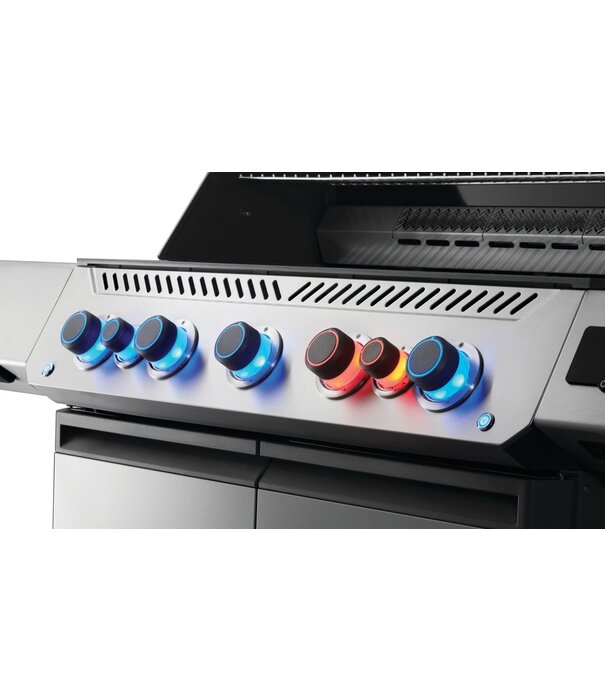 Napoleon Napoleon - Prestige® 665, Connected RVS