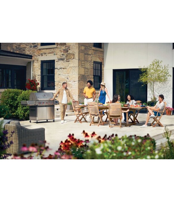 Napoleon Napoleon - Prestige 665, Connected RVS