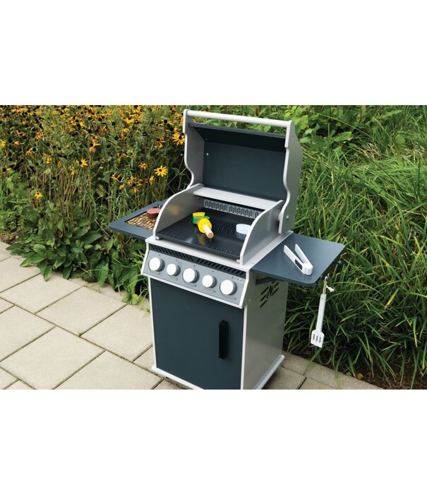 Napoleon Napoleon - Kids Grill Rogue SE 425, zwart