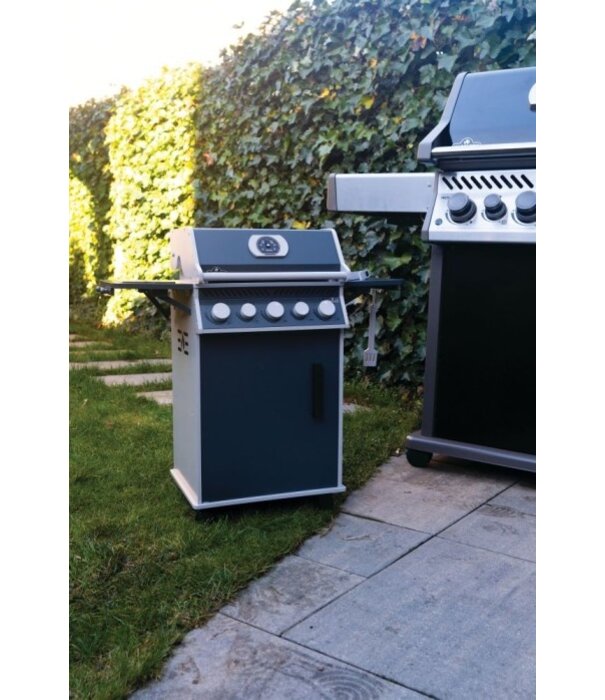 Napoleon Napoleon - Kids Grill Rogue SE 425, zwart