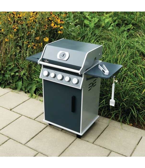 Napoleon Napoleon - Kids Grill Rogue® PRO-S 425, zwart