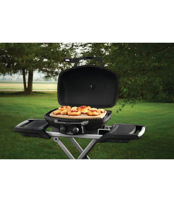 Napoleon Napoleon - Pizzasteen voor TravelQ 285