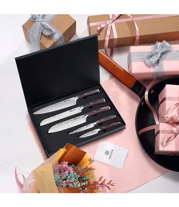 Paudin Paudin - NS5 - 5 in 1 Set