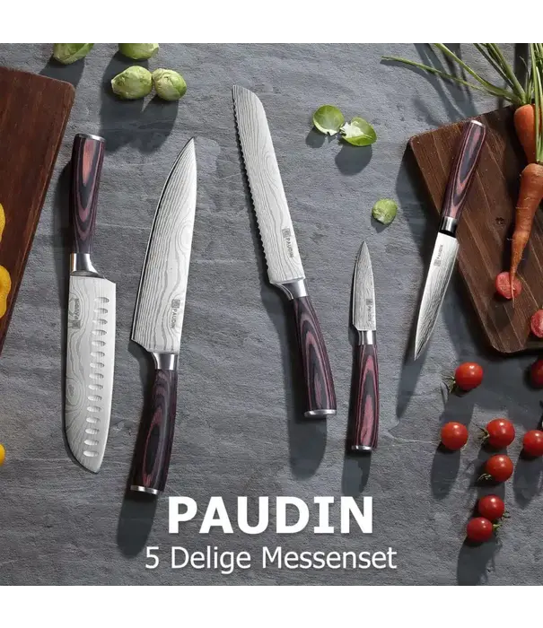 Paudin Paudin - NS5 - 5 in 1 Set