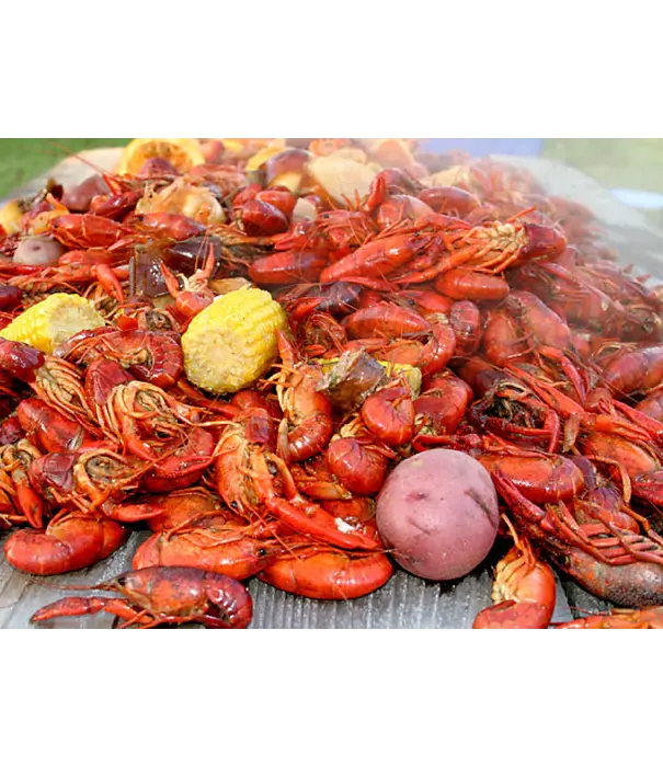 2 Gringos Chupacabra 2 Gringos Chupacabra - Cajun Blend Seasoning (12oz/340 gram)