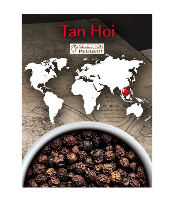 Peugeot Peugeot - Doos 4 zakjes - Tan Hoi zwarte peper 80g (4*20g) (Spices Serie)