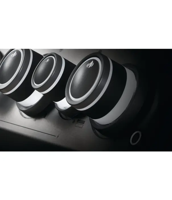 Napoleon Napoleon - Rogue SE 425, met RVS roosters, RVS