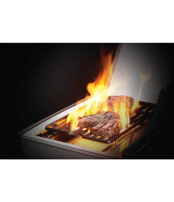 Napoleon Napoleon - Rogue SE 425, met RVS roosters, RVS