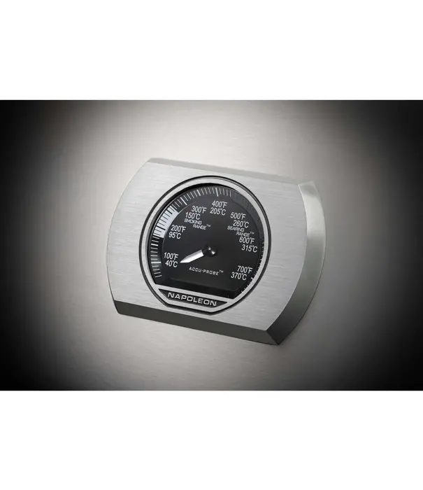 Napoleon Napoleon - Rogue SE 425, met RVS roosters, RVS