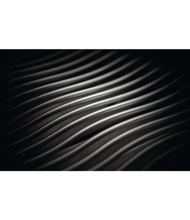 Napoleon Napoleon - Rogue SE 425, met RVS roosters, RVS