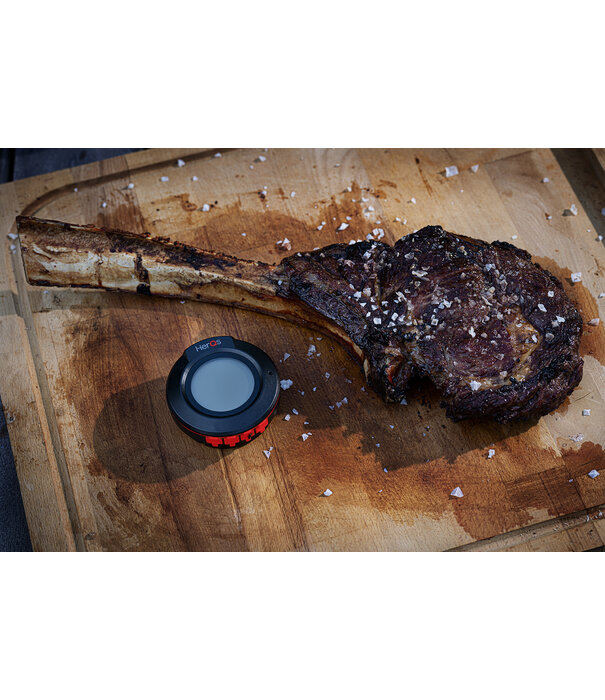 HerQs HerQs - Connected Digital Dome Thermometer