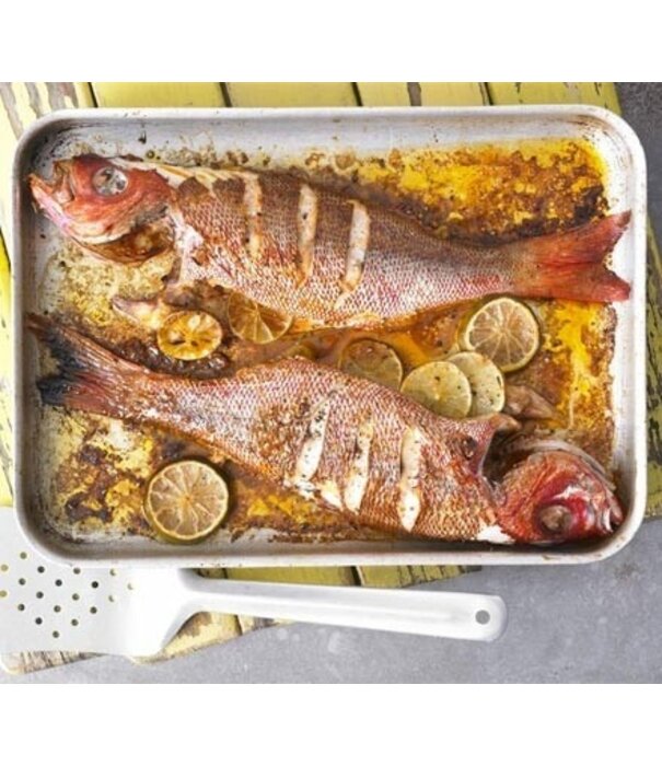 Caribbean BBQ Special met Bryan Barron - 18 april 2026 - BBQ-Workshop