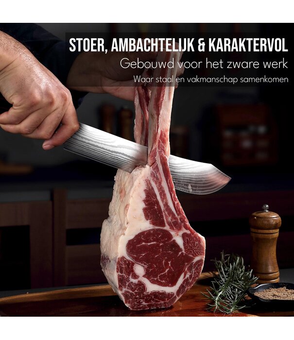 Paudin Paudin - N23 - Slagers-mes / Bullnose Vleesmes (25 cm)