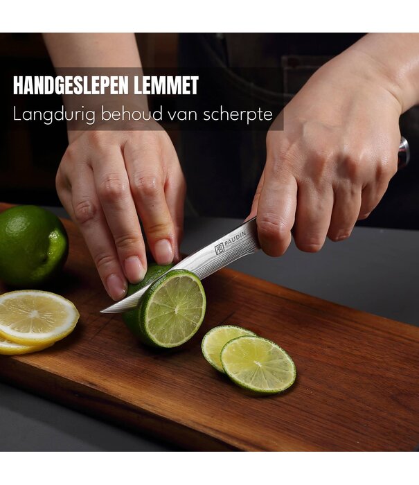 Paudin Paudin - N17 - Special Officemes (12,5 cm)