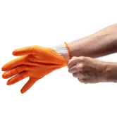 Traeger - Bbq Prep & Serve Gloves  (Nitril en Katoen Handschoenen-set) (NIEUW 2026)