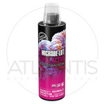 Microbe Lift CORAL ACTIVE - 473 ml