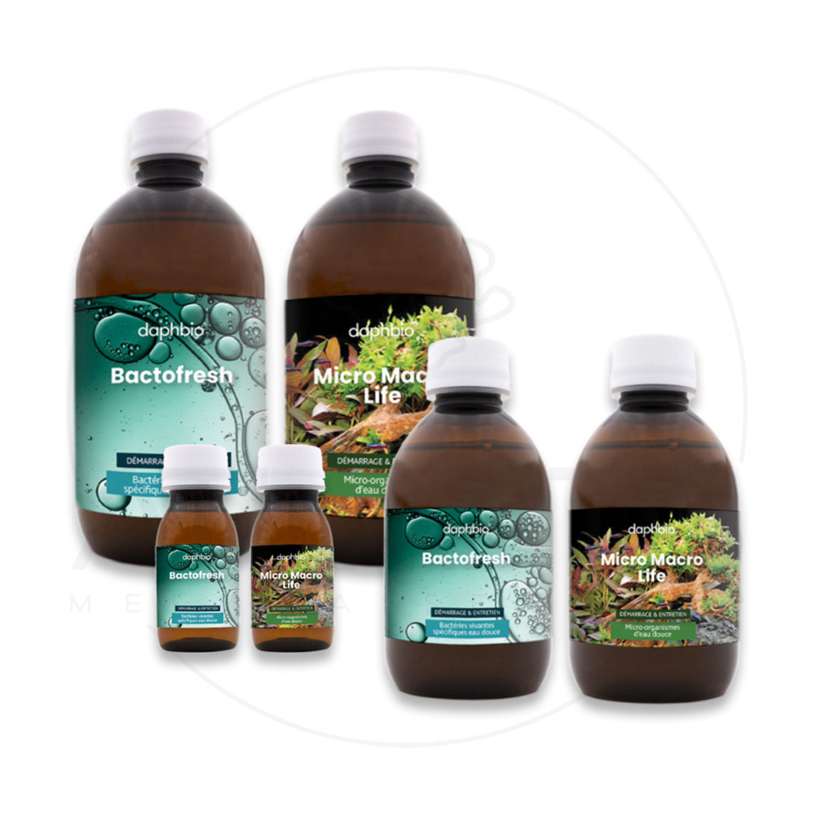 Daphbio Start-Up & maintenance Kit 500 ml (Süsswasser)    
