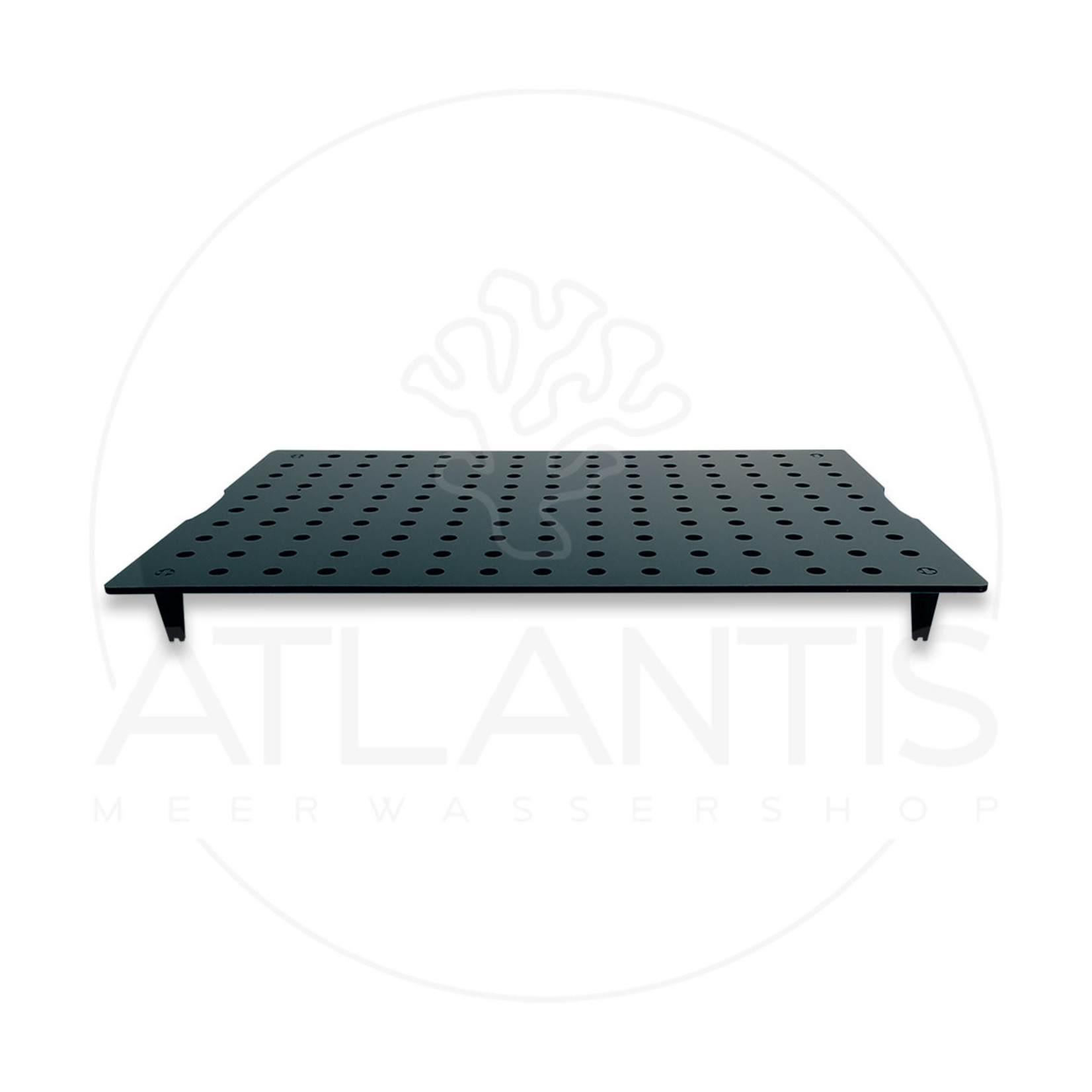 Fauna Marin Coral Frag Board Maxi - 150 Maxi Plugs - 600 x 400 mm