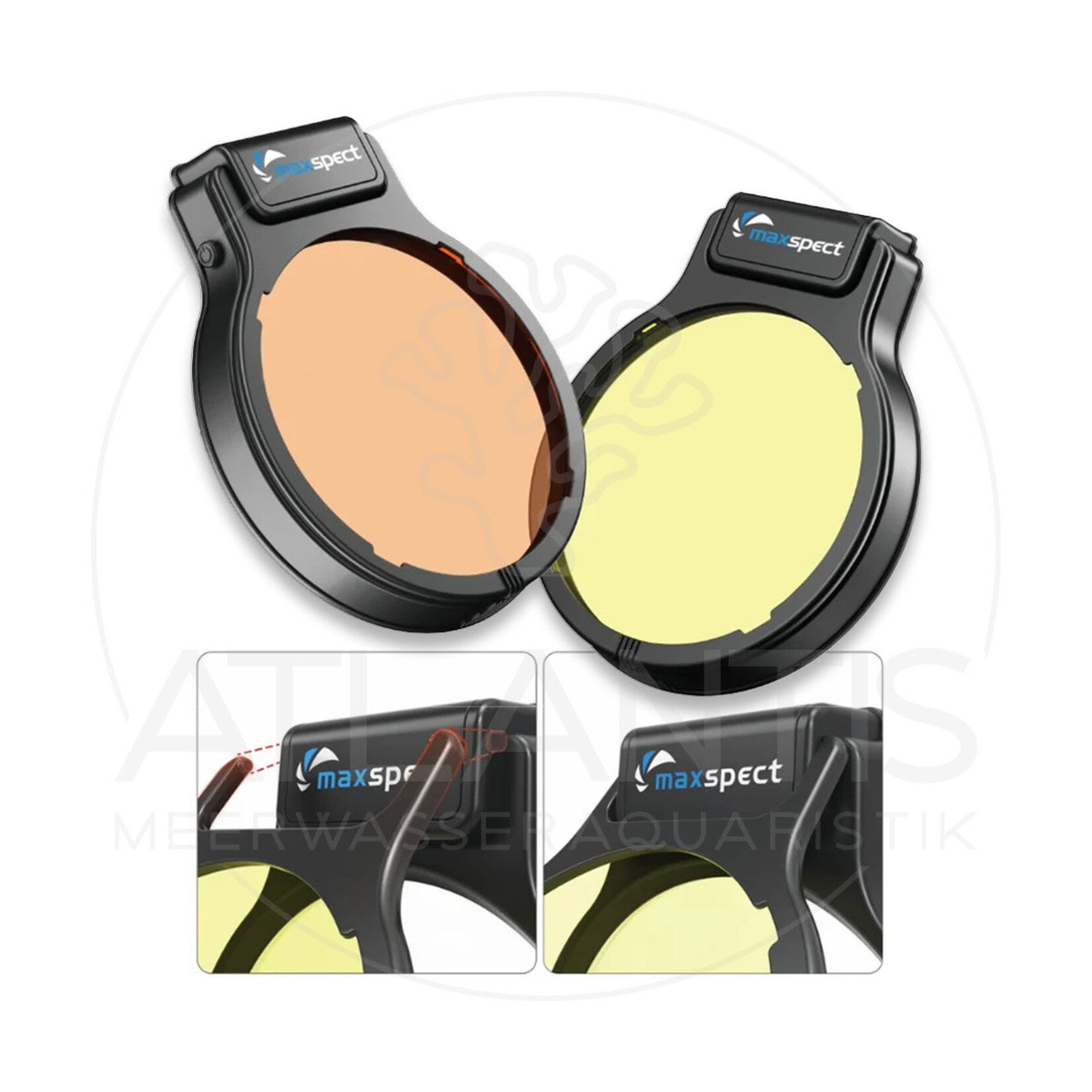 Maxspect Pastel Reef Magnifier Lens L