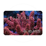 ATLANTIS Reefers Club 1-Jahres Mitgliedschaft