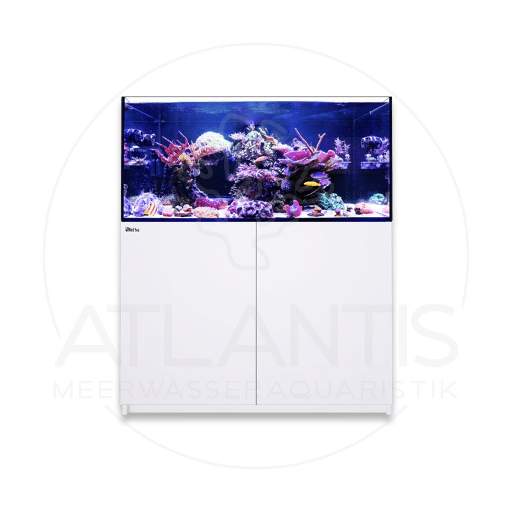 Red Sea REEFER G2+