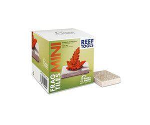 Fauna Marin Mini Frag Tiles - Quadratische Ablegersteine - 40 Stk.