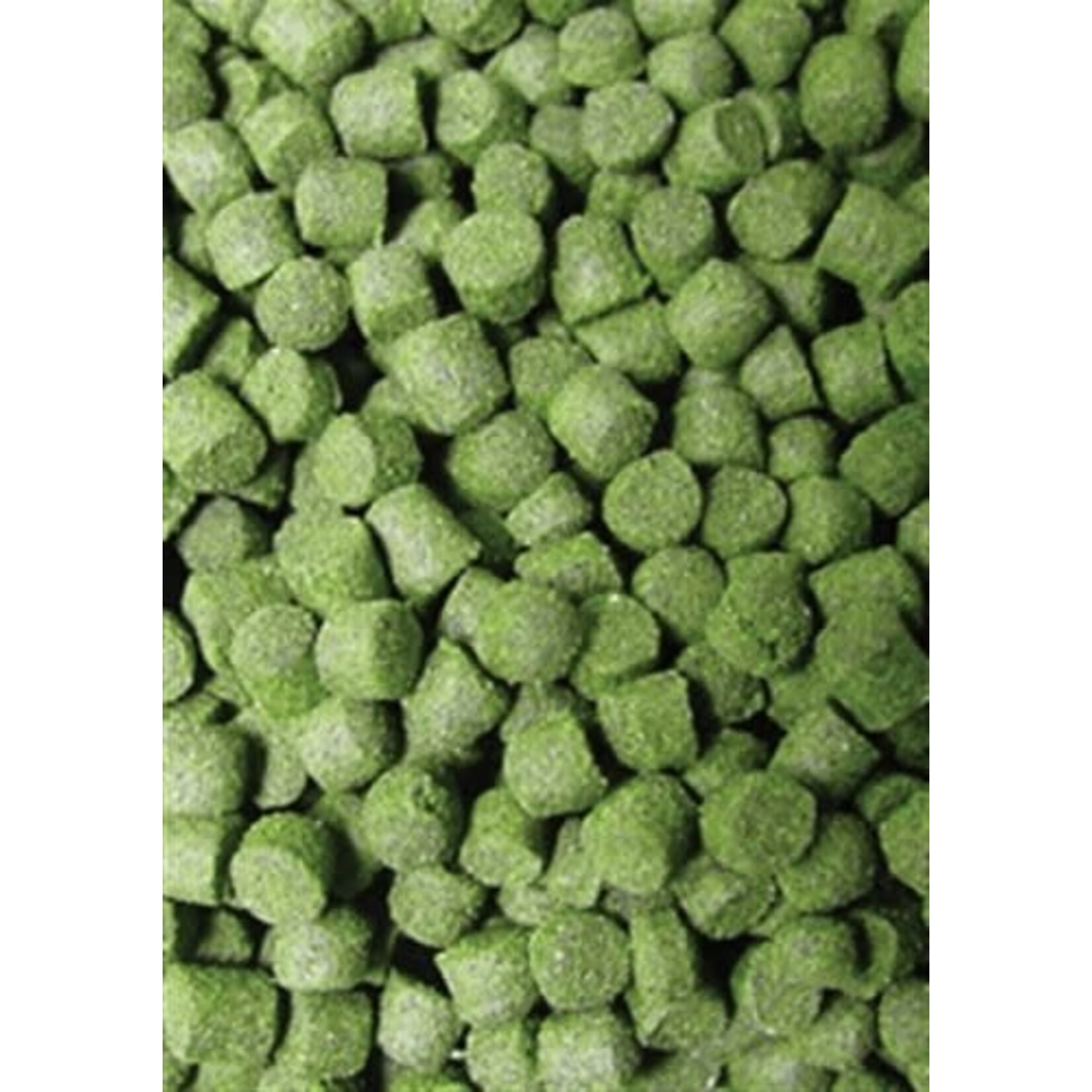Ocean Nutrition Formula Two Marine Pellet Small - 100 g