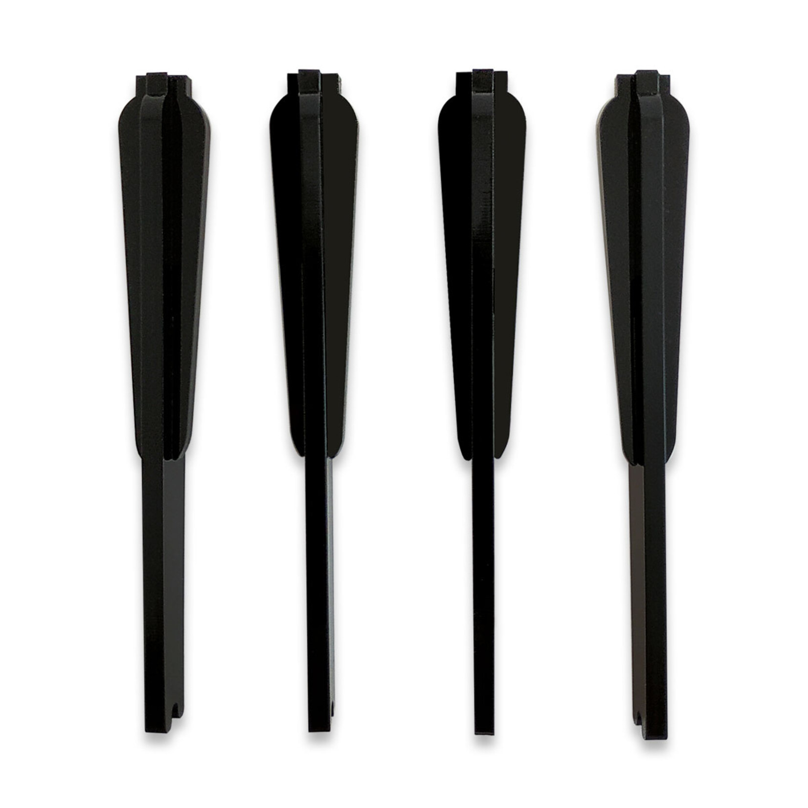Fauna Marin Coral Frag Board Feet - 15 cm (5.90 inch)