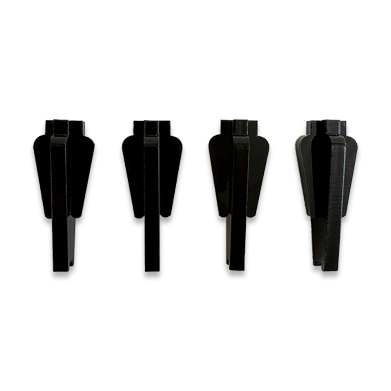 Fauna Marin Coral Frag Board Feet - 5 cm (1.97 inch)